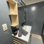 Daire Iguanodon Maria A Proximite Du Site Google St Chislain Et De Pairi Daiza Bernissart