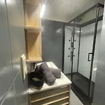 Iguanodon Maria A Proximite Du Site Google St Chislain Et De Pairi Daiza Daire