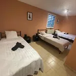 Iguanodon Maria A Proximite Du Site Google St Chislain Et De Pairi Daiza Daire Bernissart